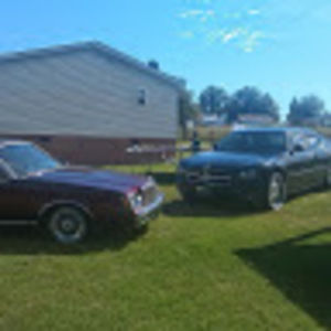 Meet your Posher, Timothy